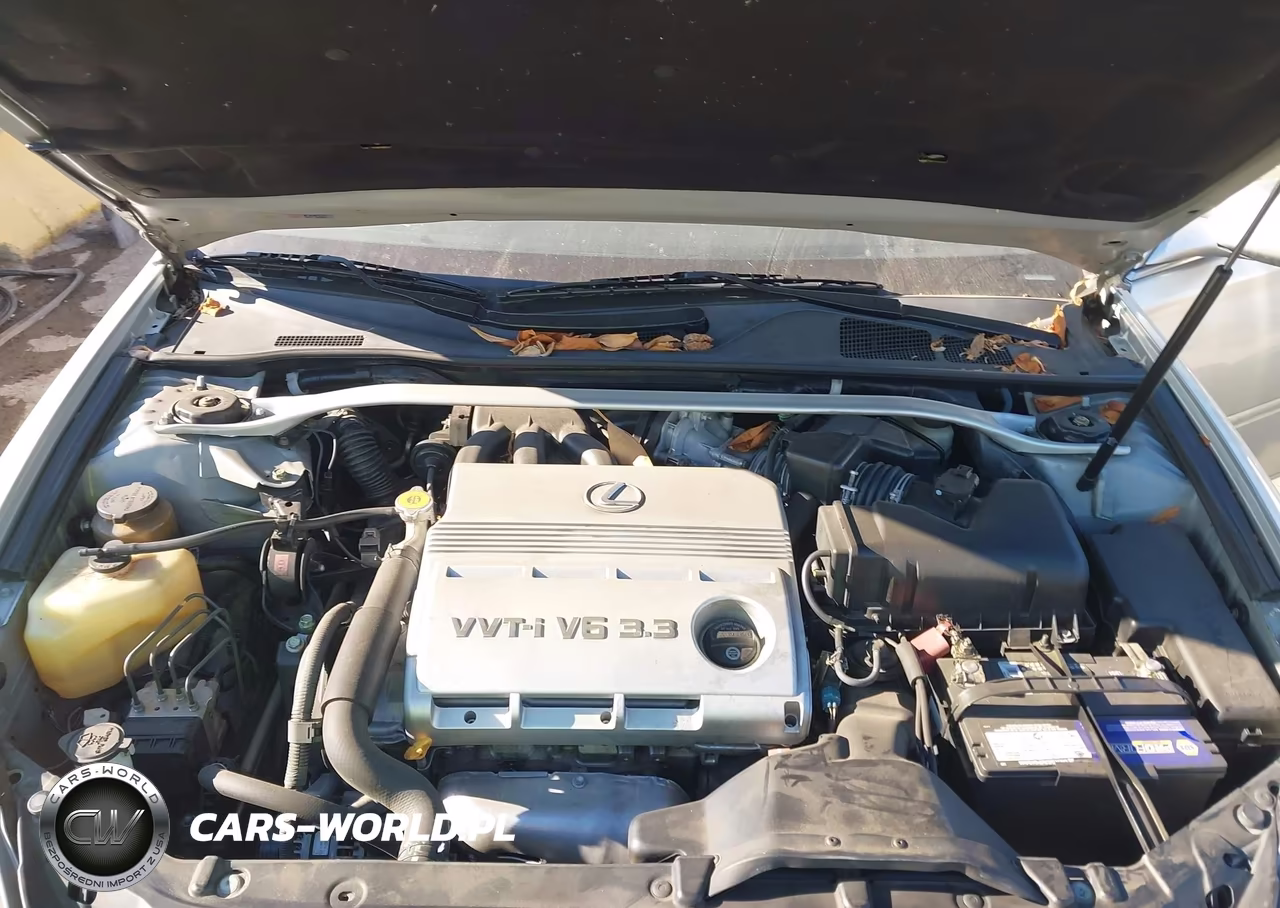 2004 Lexus Es 330 VIN:JTHBA30G745051877 - 10