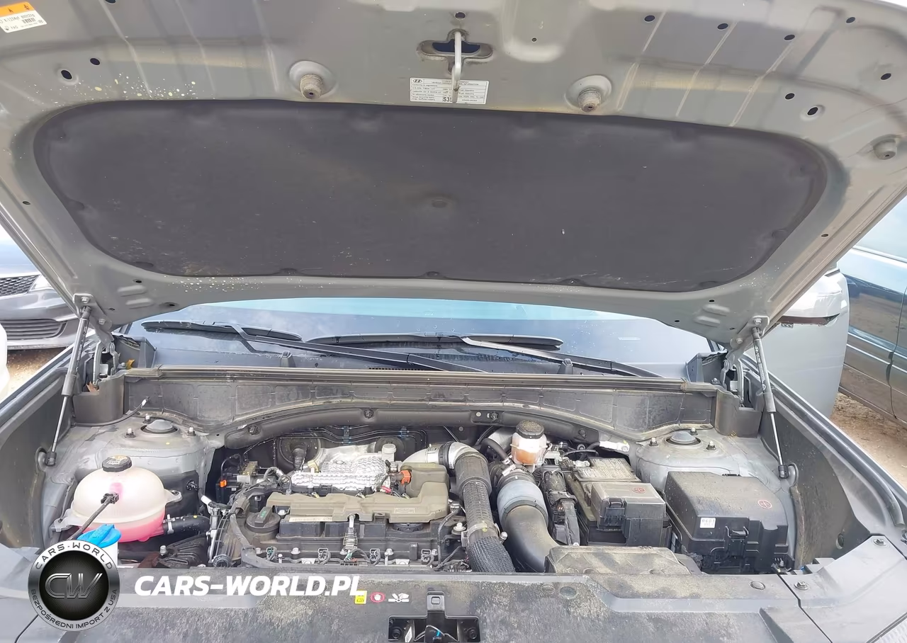 2025 Hyundai Santa Fe Calligraphy VIN:5NMP5DGL6SH105930 - 10