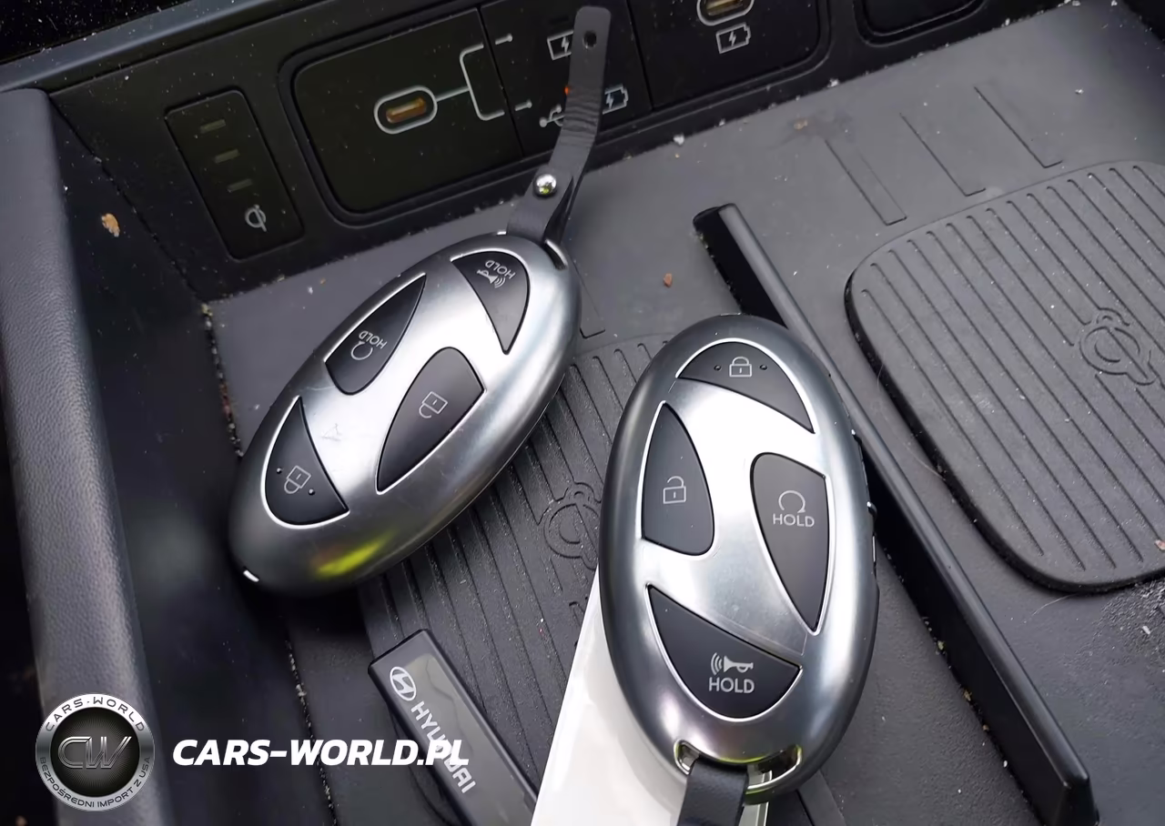 2025 Hyundai Santa Fe Calligraphy VIN:5NMP5DGL6SH105930 - 11
