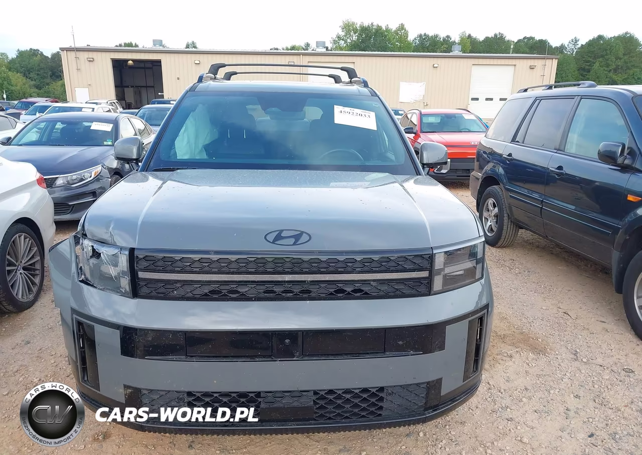 2025 Hyundai Santa Fe Calligraphy VIN:5NMP5DGL6SH105930 - 12
