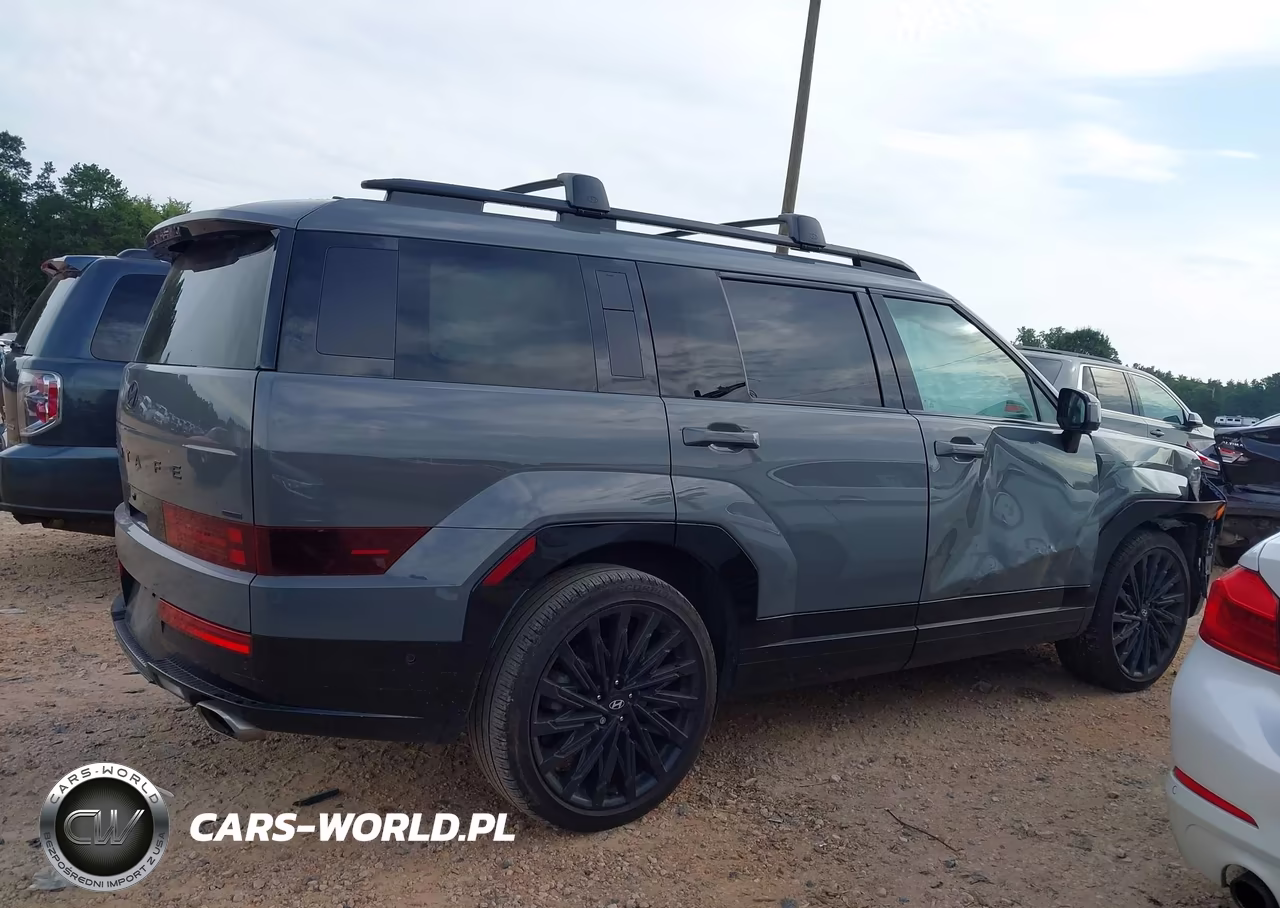 2025 Hyundai Santa Fe Calligraphy VIN:5NMP5DGL6SH105930 - 13