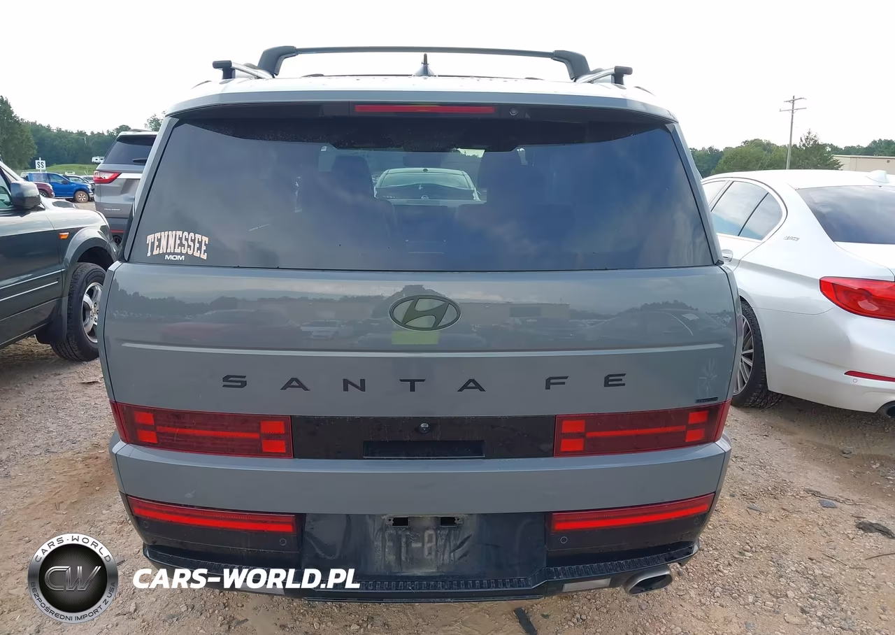 2025 Hyundai Santa Fe Calligraphy VIN:5NMP5DGL6SH105930 - 16