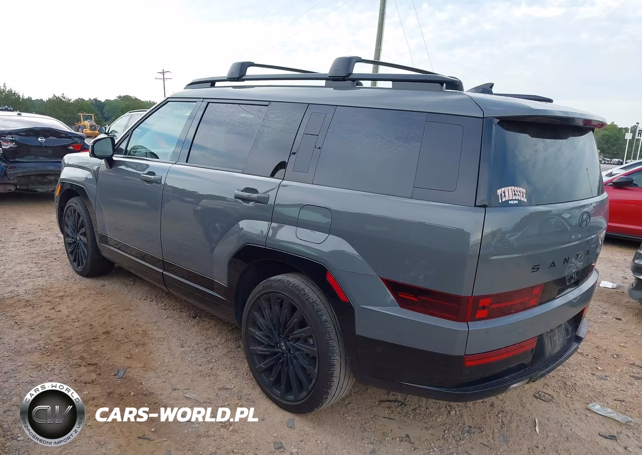 2025 Hyundai Santa Fe Calligraphy VIN:5NMP5DGL6SH105930 - 3