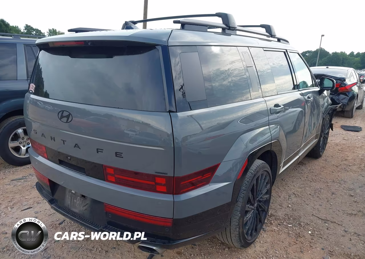 2025 Hyundai Santa Fe Calligraphy VIN:5NMP5DGL6SH105930 - 4