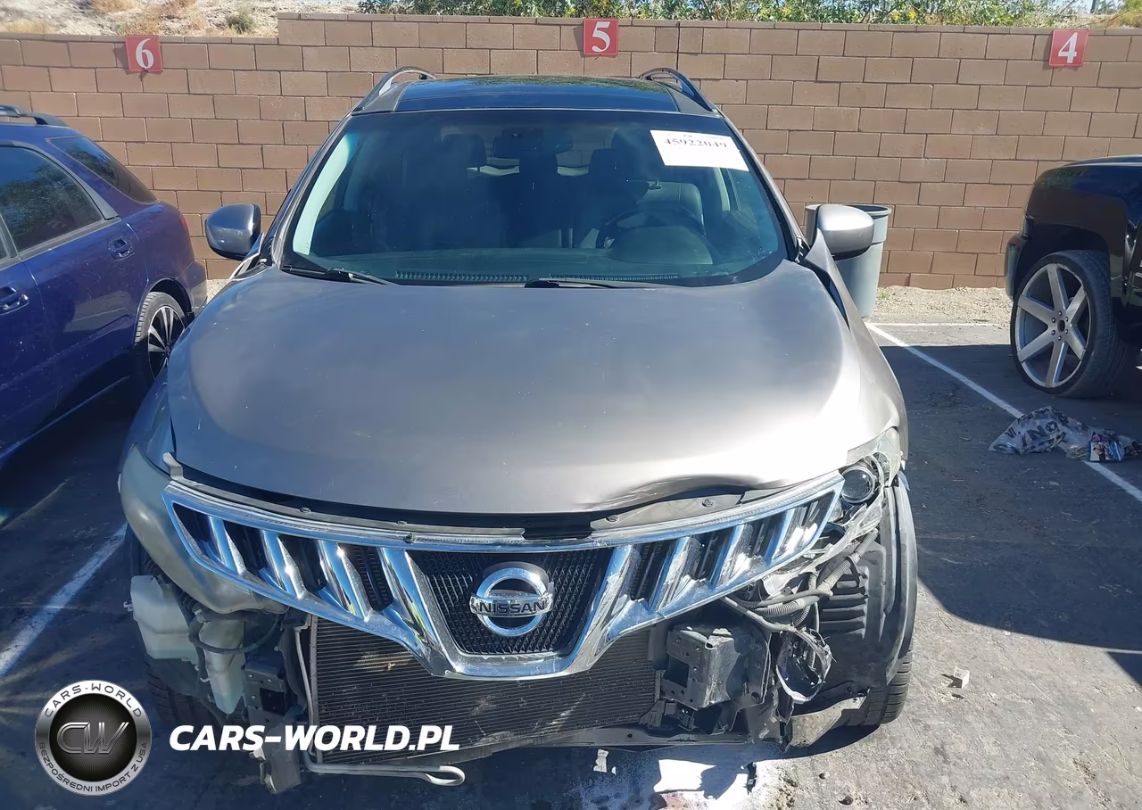 2010 Nissan Murano Le VIN:JN8AZ1MU1AW015414 - 12
