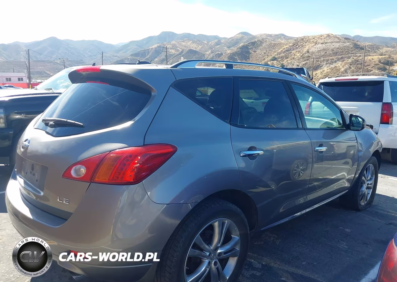 2010 Nissan Murano Le VIN:JN8AZ1MU1AW015414 - 13
