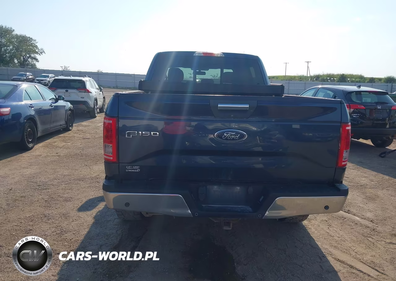 2017 Ford F-150 Xlt VIN:1FTFW1EF1HFC84114 - 16