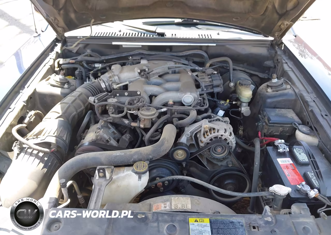 2002 Ford Mustang Deluxe-Premium VIN:1FAFP44492F239935 - 10