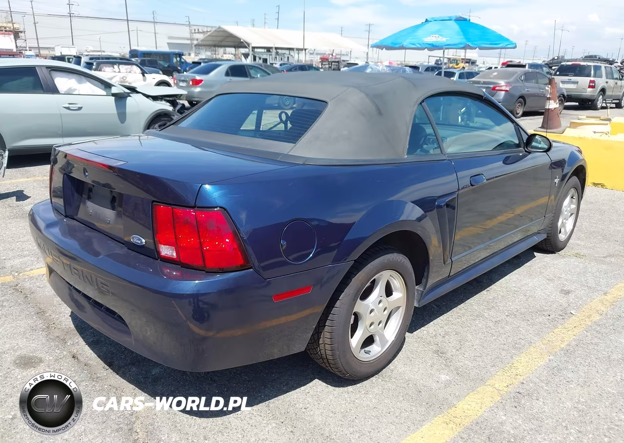 2002 Ford Mustang Deluxe-Premium VIN:1FAFP44492F239935 - 4