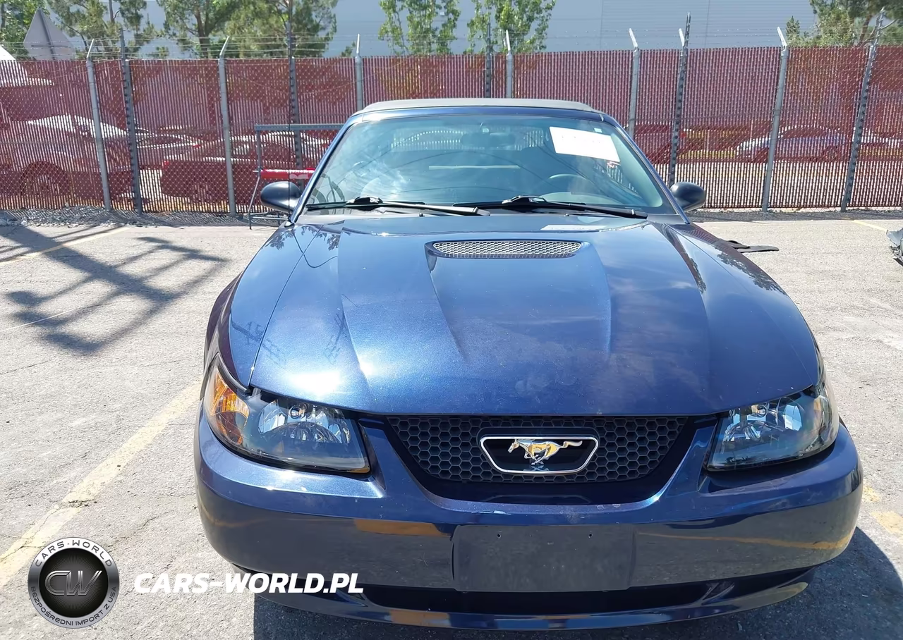 2002 Ford Mustang Deluxe-Premium VIN:1FAFP44492F239935 - 6