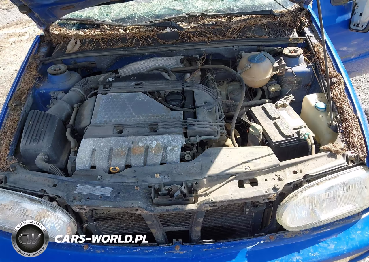 1997 Volkswagen Gti Vr6 VIN:3VWGD81H9VM109094 - 10