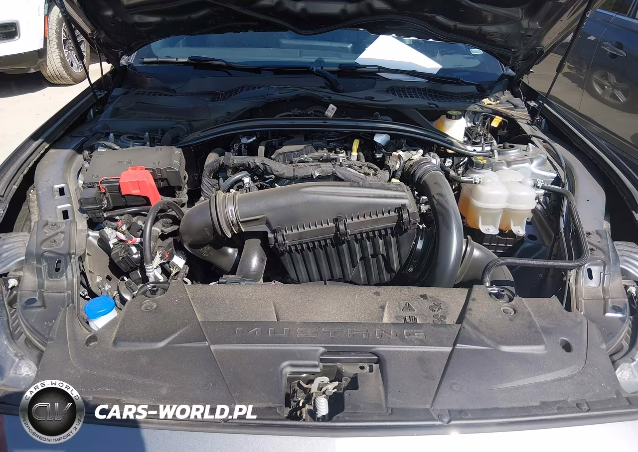 2026 Ford Mustang Ecoboost Premium VIN:1FAGP8UH2T5117889 - 10