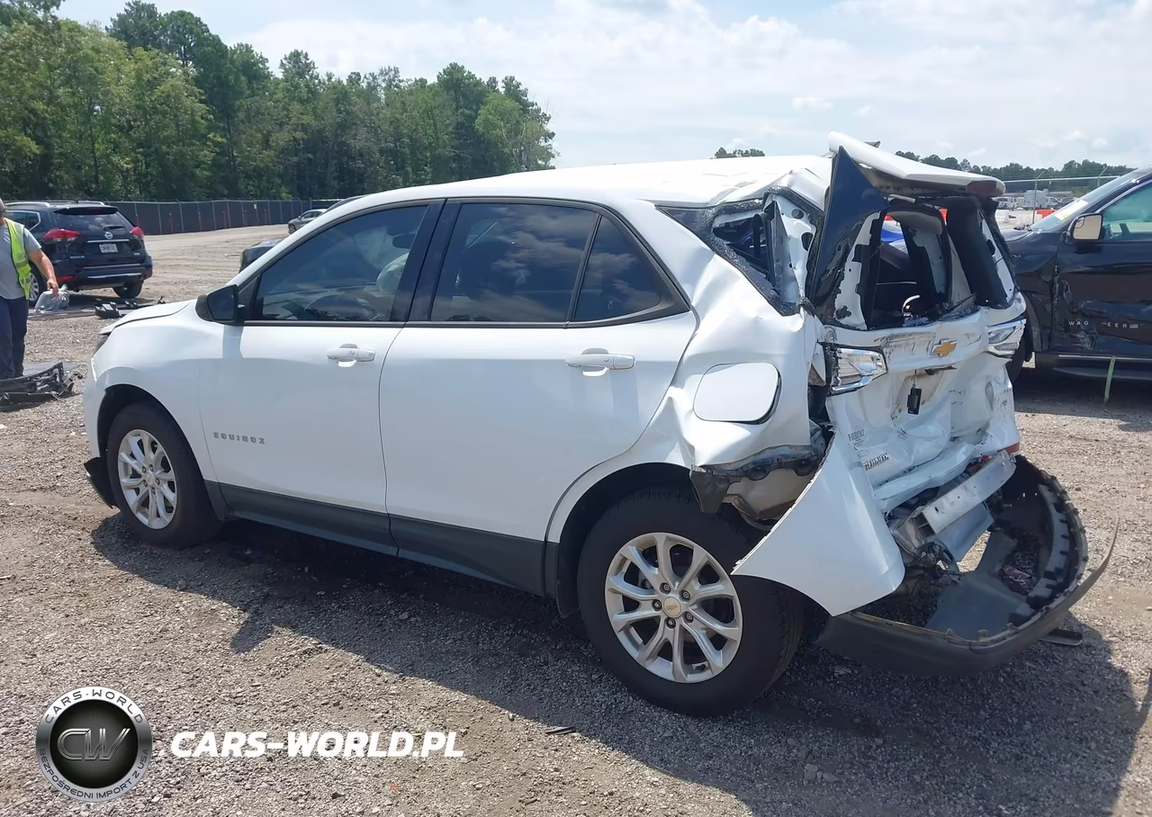 2019 Chevrolet Equinox Ls VIN:2GNAXHEV5K6122485 - 3