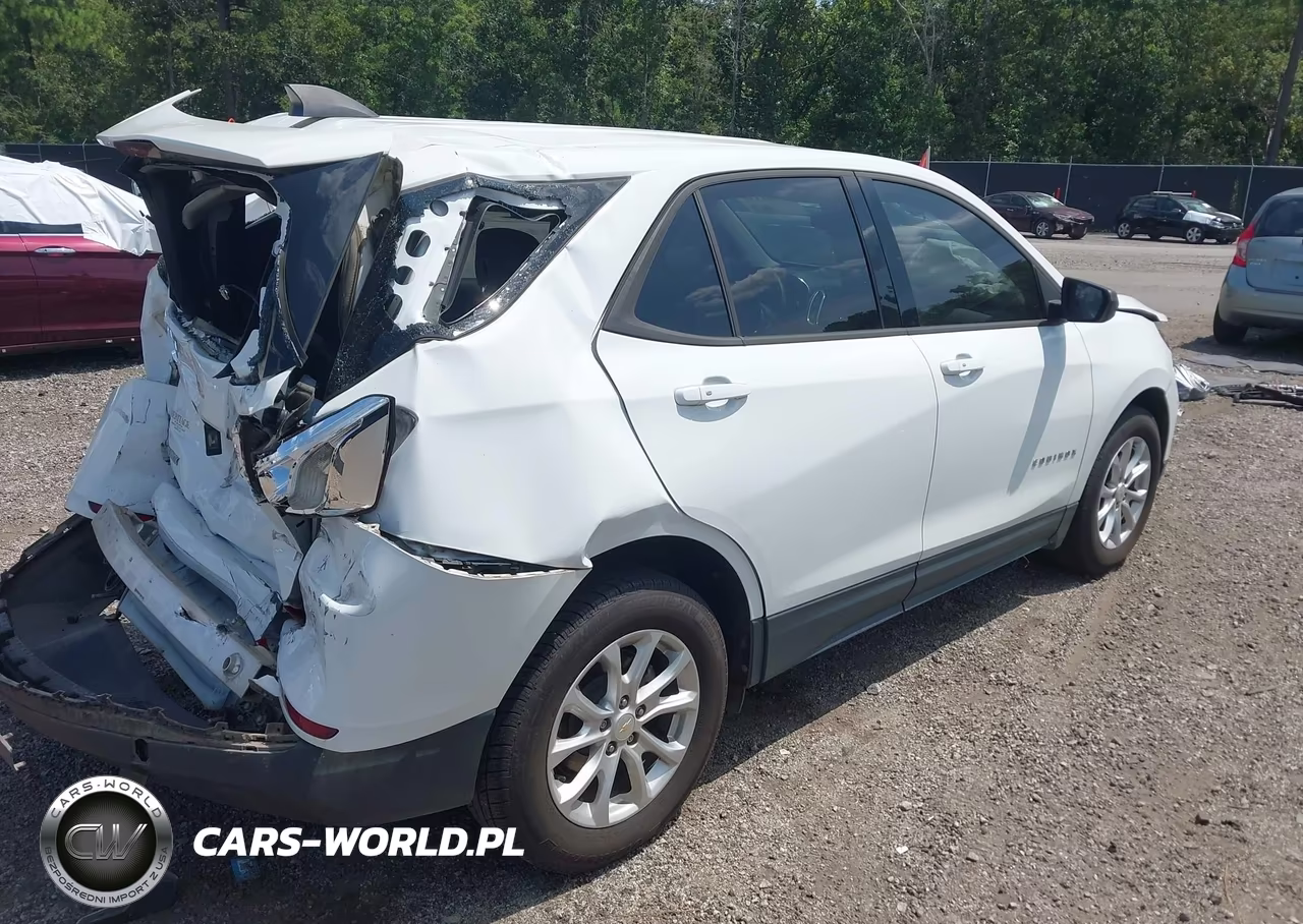 2019 Chevrolet Equinox Ls VIN:2GNAXHEV5K6122485 - 4