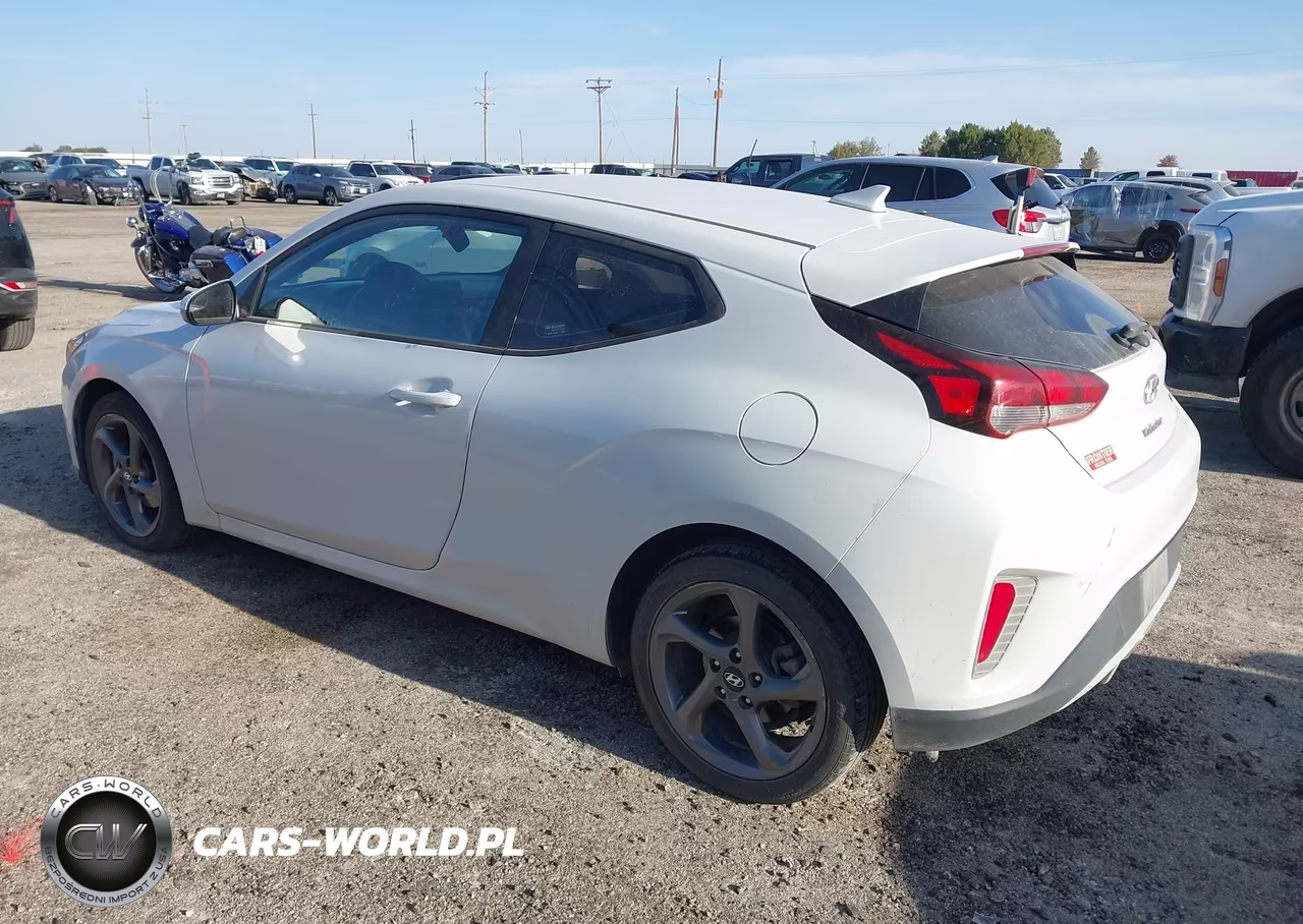 2019 Hyundai Veloster 2.0 VIN:KMHTG6AF5KU016877 - 3