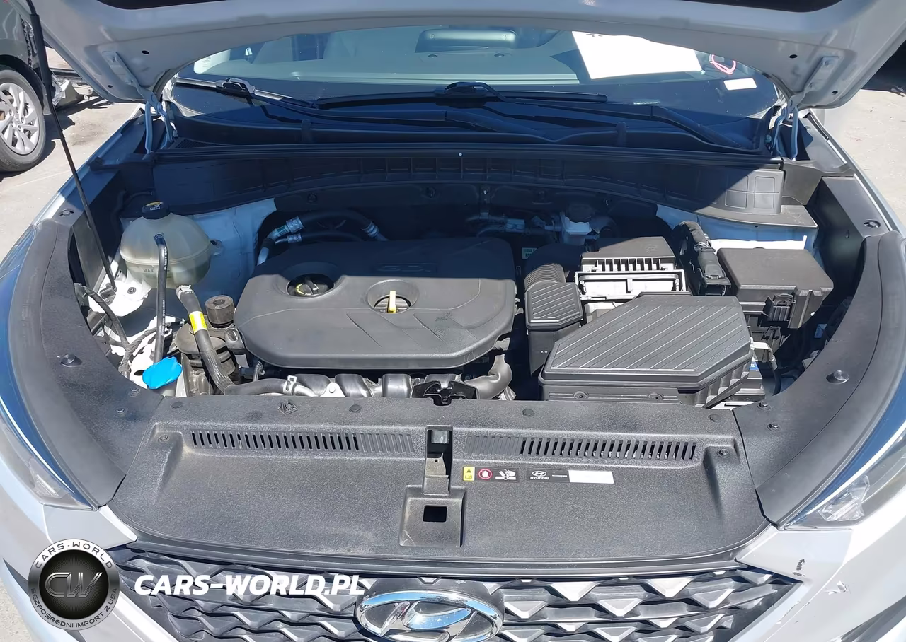 2019 Hyundai Tucson Se VIN:KM8J2CA43KU869023 - 10