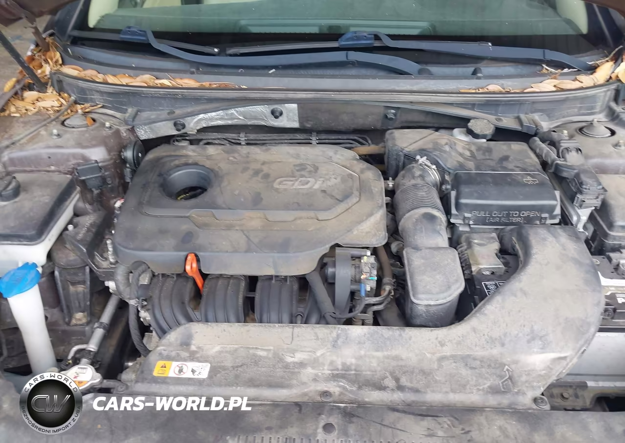 2016 Hyundai Sonata Sport VIN:5NPE34AF4GH392047 - 10
