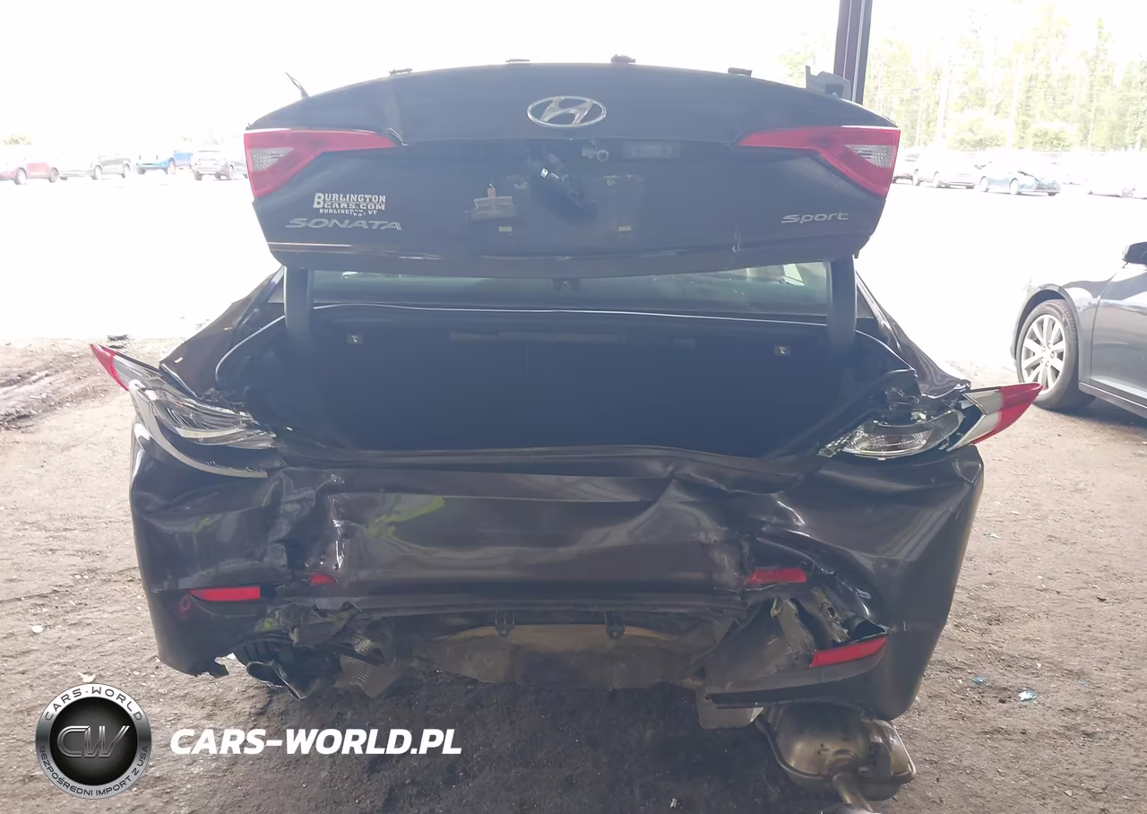 2016 Hyundai Sonata Sport VIN:5NPE34AF4GH392047 - 16