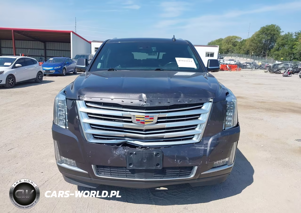2016 Cadillac Escalade Platinum VIN:1GYS4DKJ4GR369079 - 13