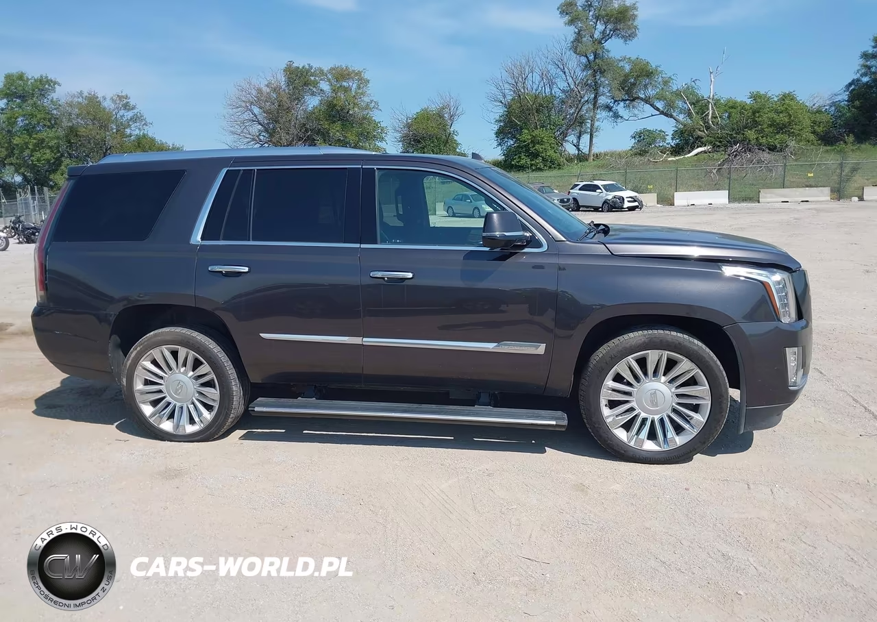 2016 Cadillac Escalade Platinum VIN:1GYS4DKJ4GR369079 - 14