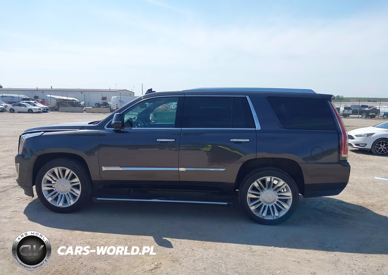 2016 Cadillac Escalade Platinum VIN:1GYS4DKJ4GR369079 - 15