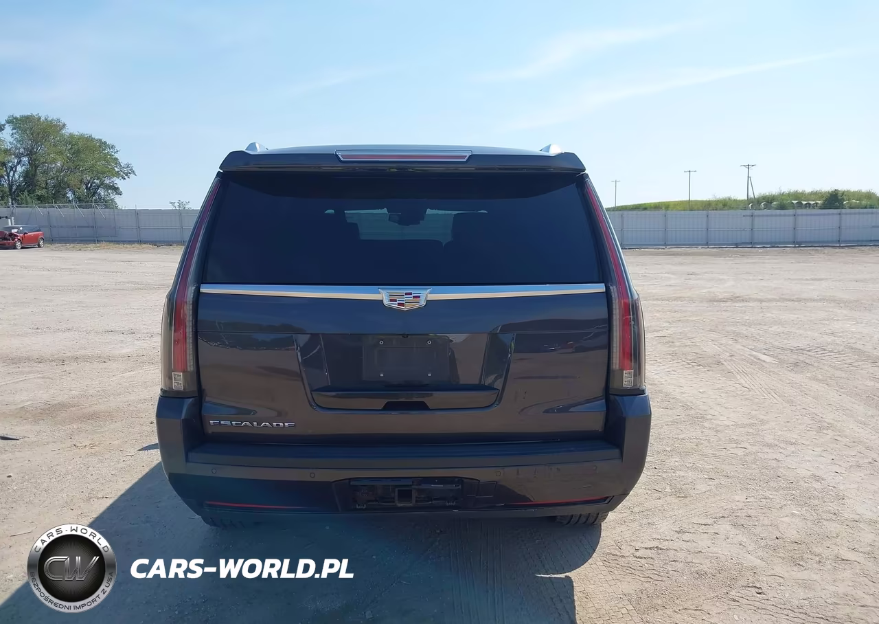 2016 Cadillac Escalade Platinum VIN:1GYS4DKJ4GR369079 - 17