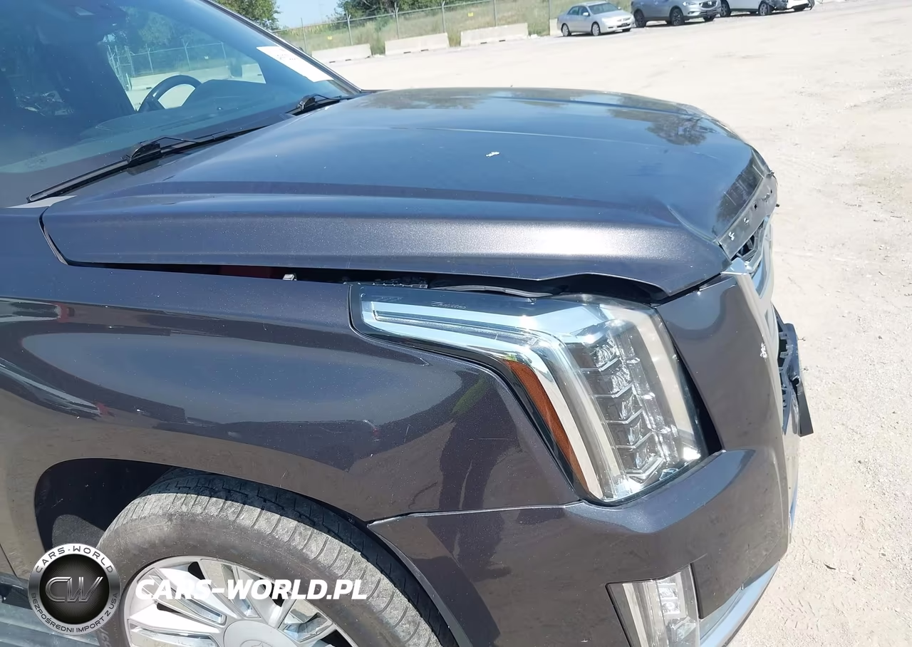 2016 Cadillac Escalade Platinum VIN:1GYS4DKJ4GR369079 - 19