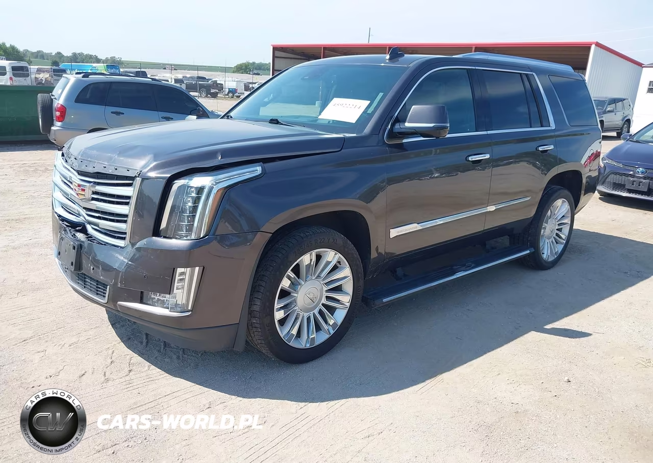 2016 Cadillac Escalade Platinum VIN:1GYS4DKJ4GR369079 - 2