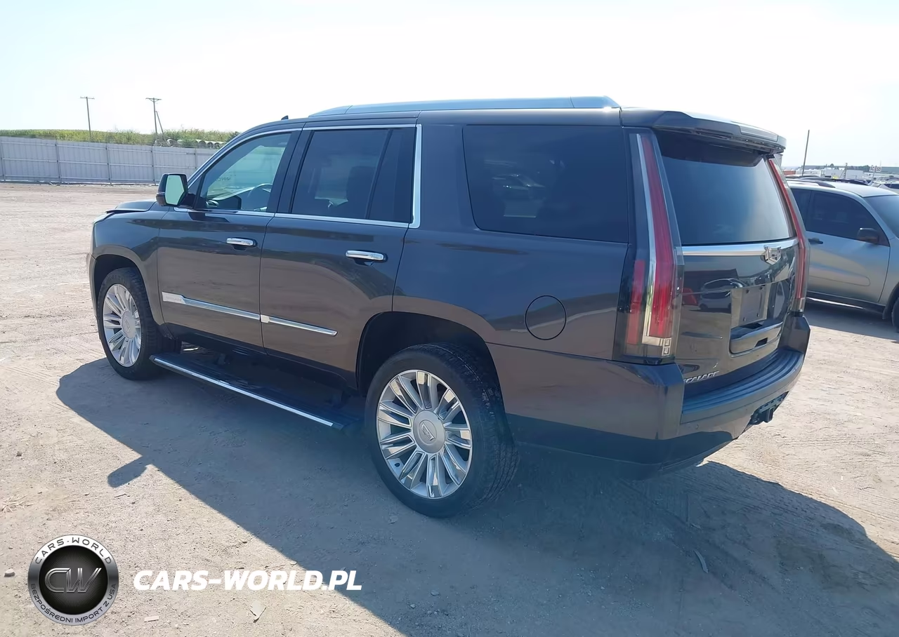 2016 Cadillac Escalade Platinum VIN:1GYS4DKJ4GR369079 - 3