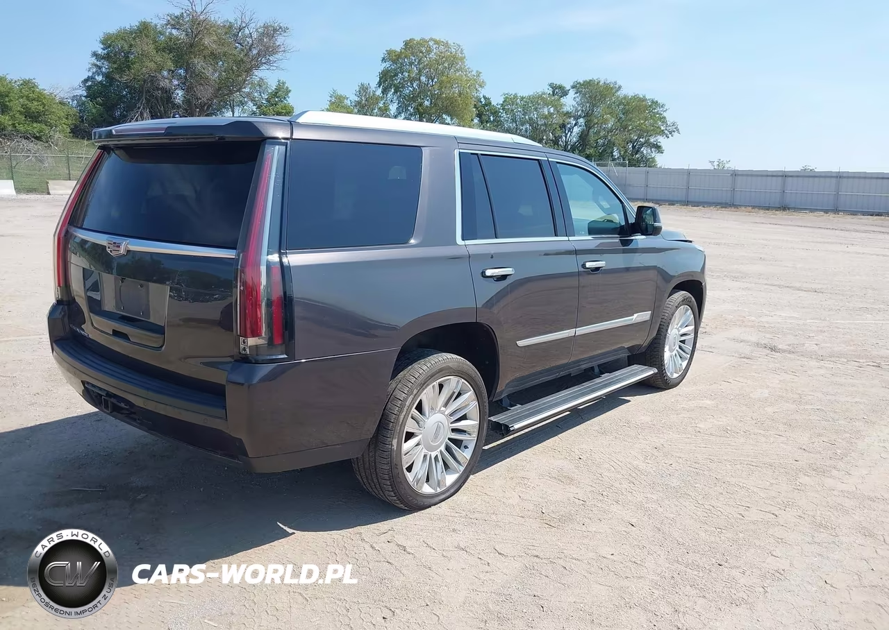 2016 Cadillac Escalade Platinum VIN:1GYS4DKJ4GR369079 - 4
