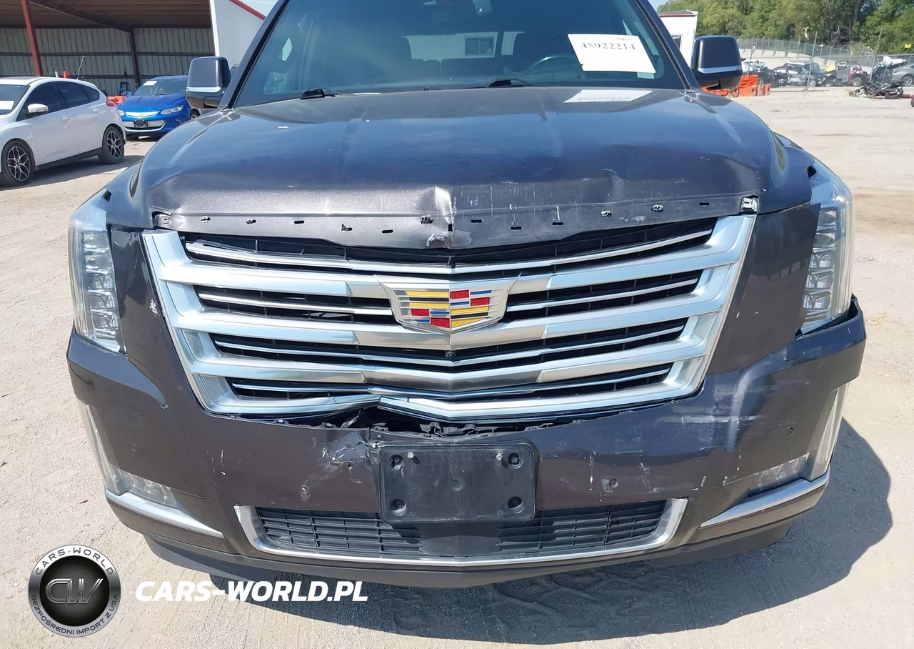 2016 Cadillac Escalade Platinum VIN:1GYS4DKJ4GR369079 - 6