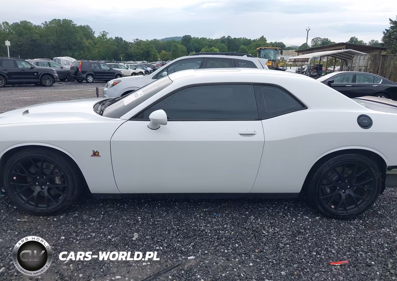 2016 Dodge Challenger R-T Scat Pack VIN:2C3CDZFJ6GH359000 - 15
