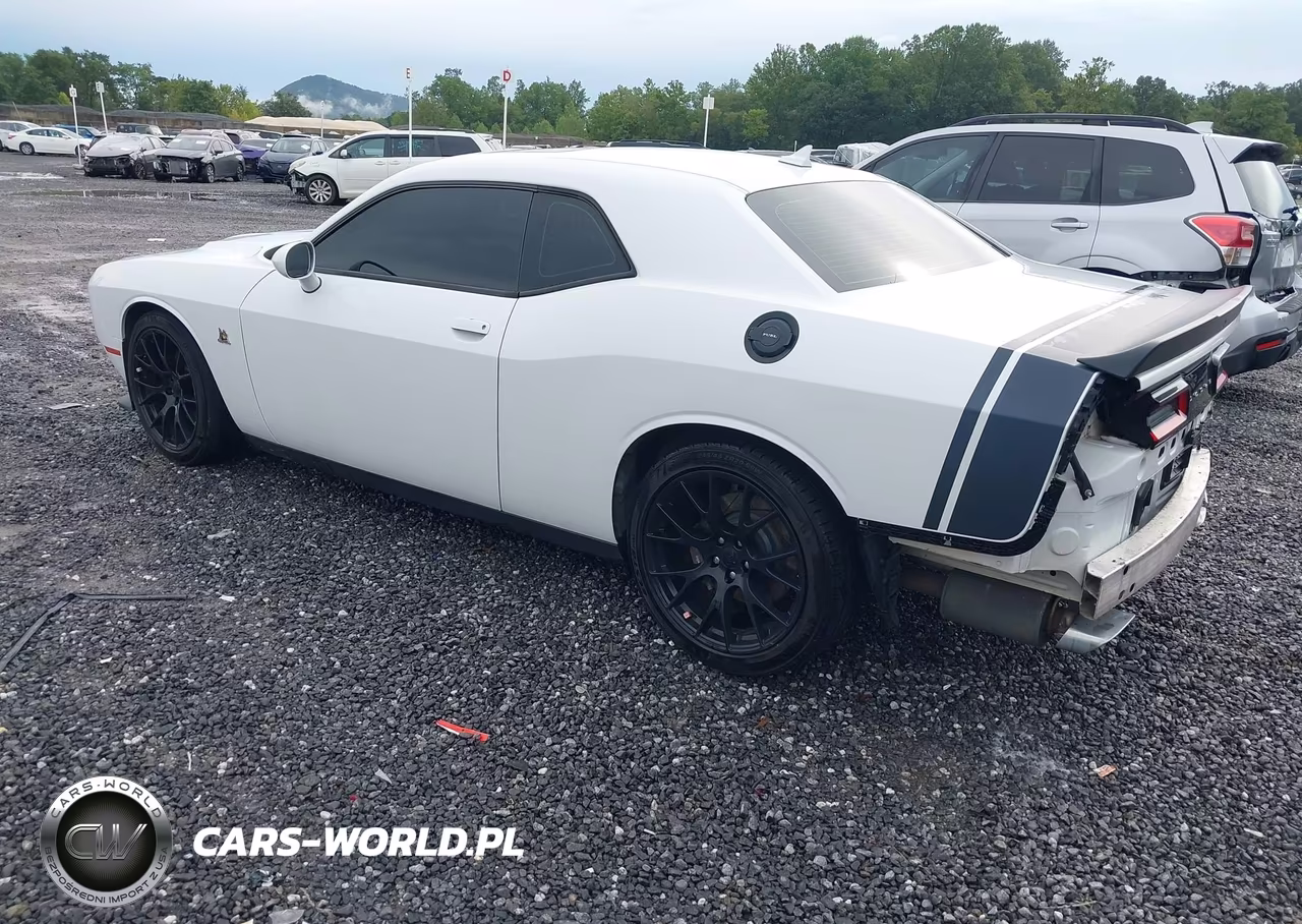 2016 Dodge Challenger R-T Scat Pack VIN:2C3CDZFJ6GH359000 - 3