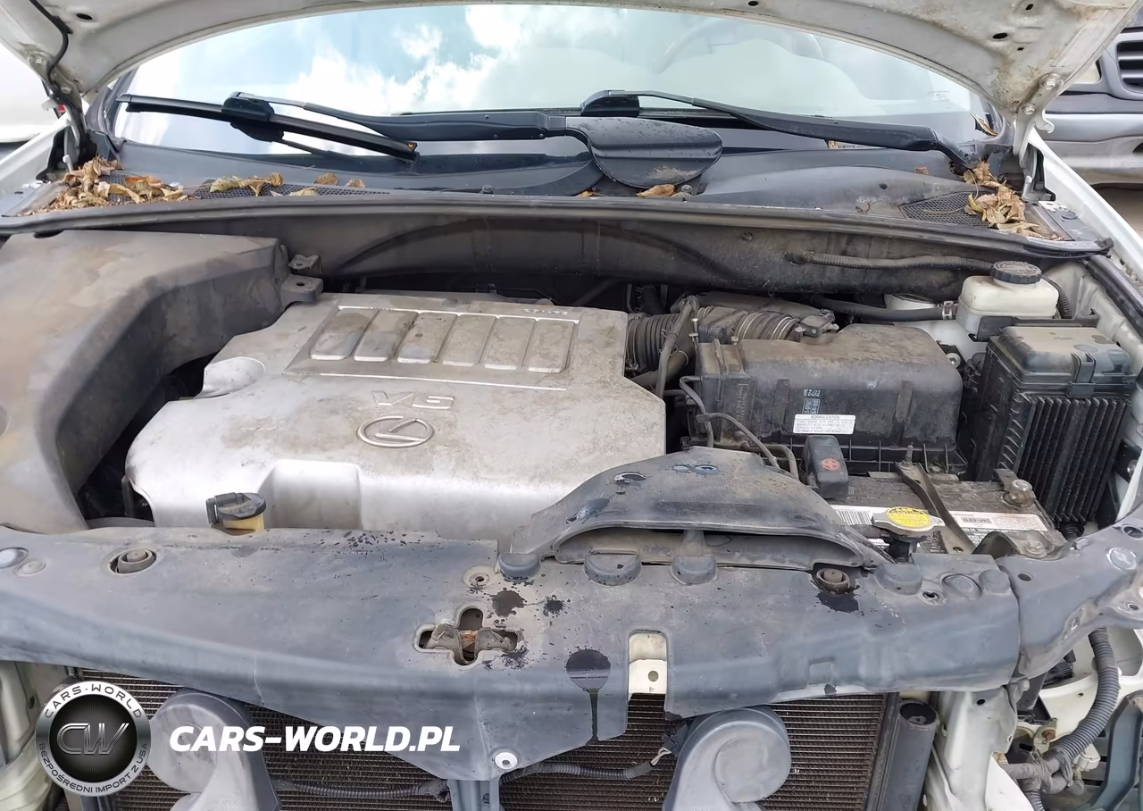 2008 Lexus Rx 350 VIN:2T2GK31U48C055012 - 10