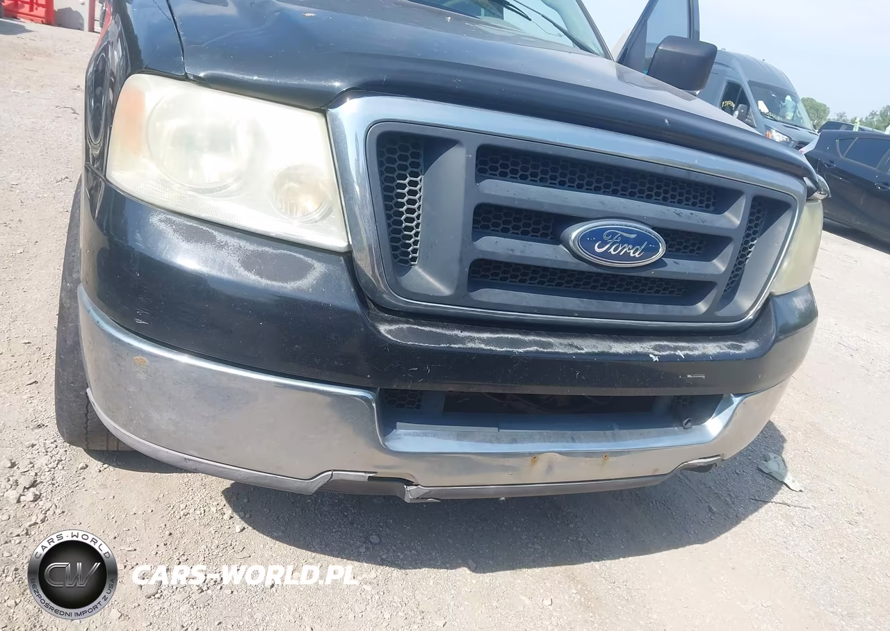 2004 Ford F-150 Stx-Xl-Xlt VIN:1FTRF12W64NA75159 - 6