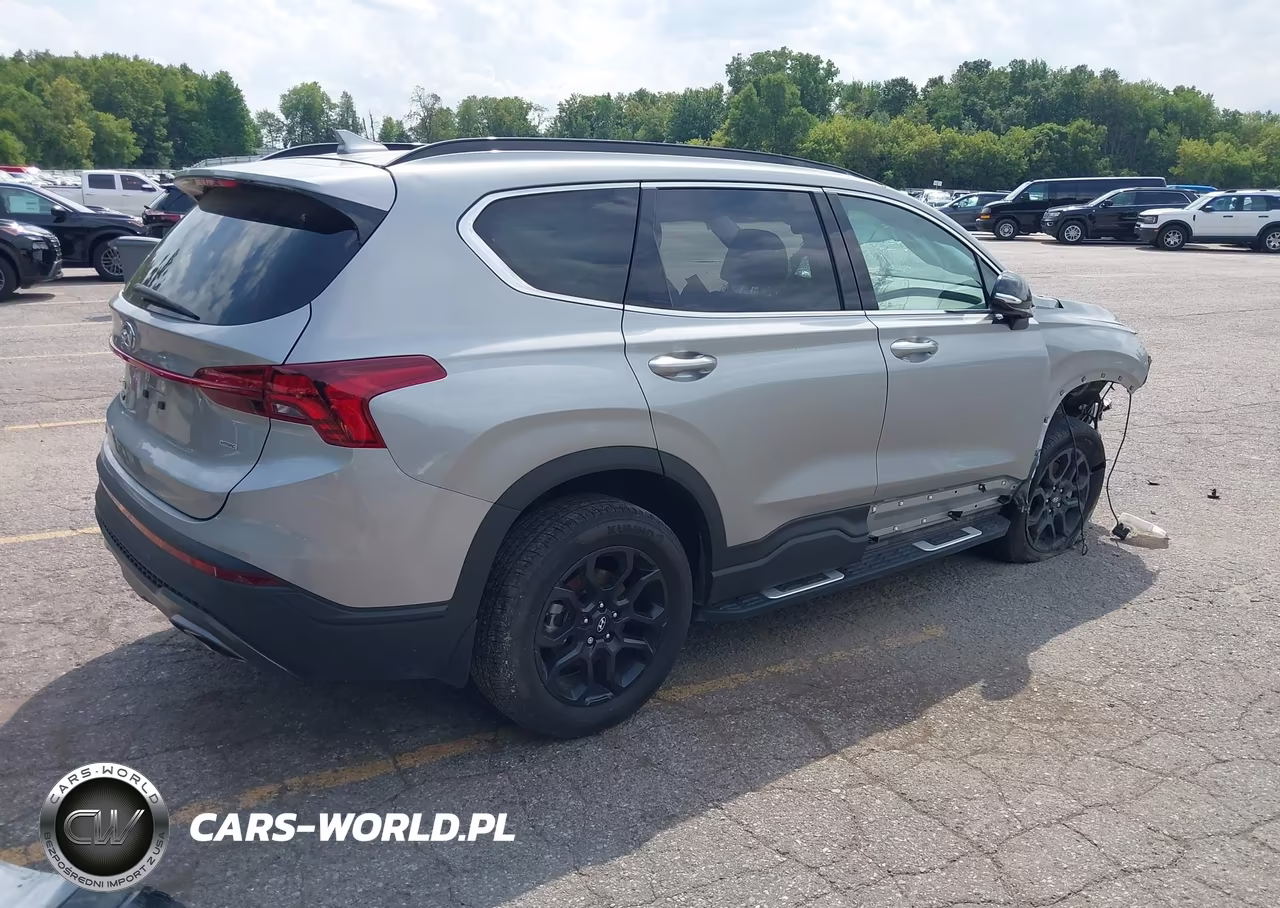 2023 Hyundai Santa Fe Xrt VIN:5NMS6DAJ7PH623213 - 4
