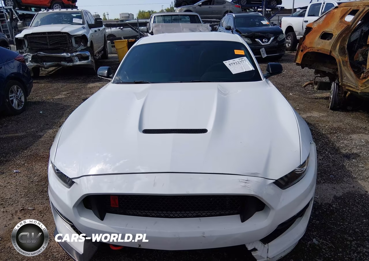 2016 Ford Shelby Gt350 VIN:1FA6P8JZ7G5524301 - 12