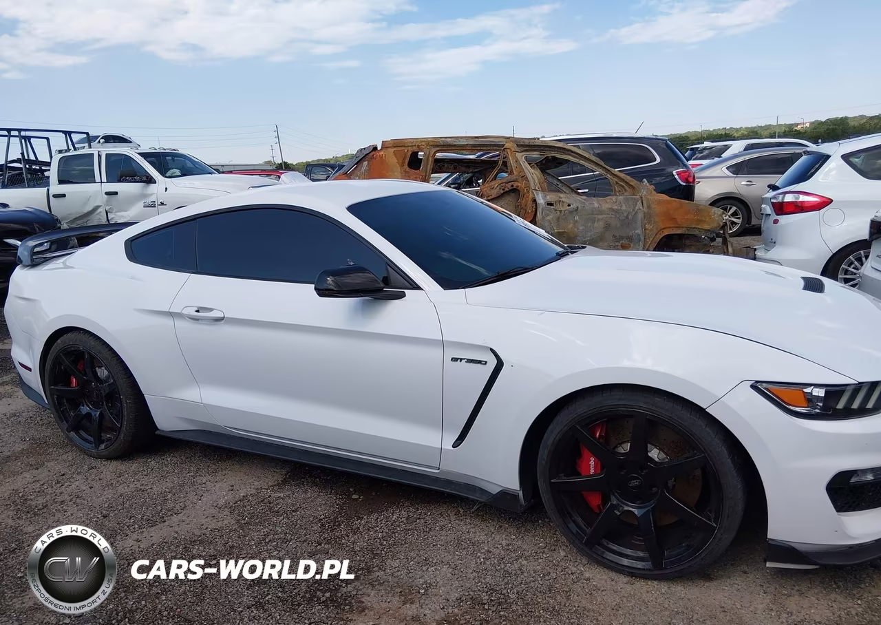2016 Ford Shelby Gt350 VIN:1FA6P8JZ7G5524301 - 13