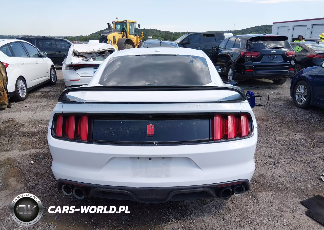 2016 Ford Shelby Gt350 VIN:1FA6P8JZ7G5524301 - 16