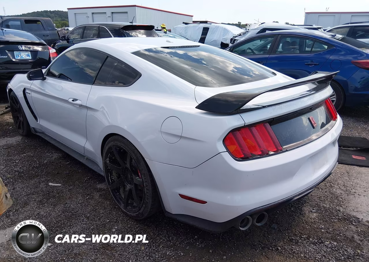 2016 Ford Shelby Gt350 VIN:1FA6P8JZ7G5524301 - 3