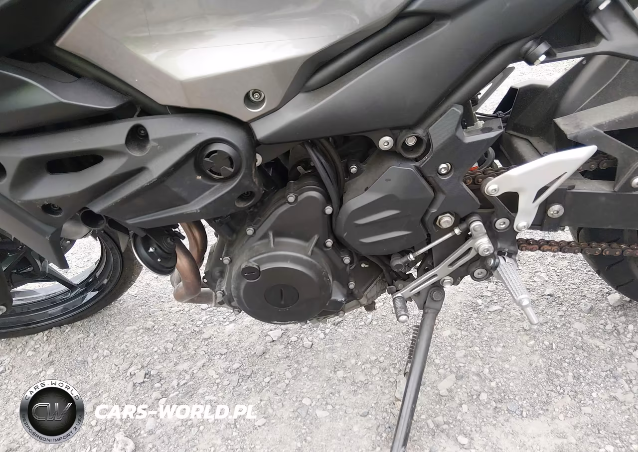 2024 Kawasaki Er500 VIN:ML5ERGE18RDA08517 - 9