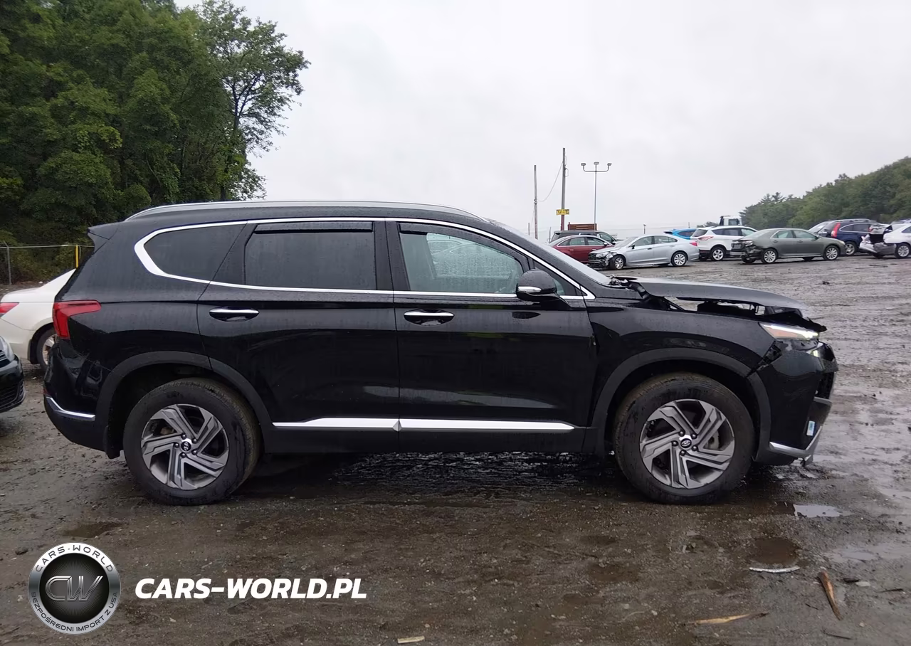 2022 Hyundai Santa Fe Sel VIN:5NMS3DAJ3NH461778 - 13