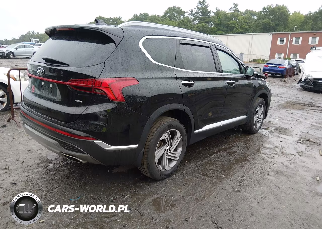 2022 Hyundai Santa Fe Sel VIN:5NMS3DAJ3NH461778 - 4
