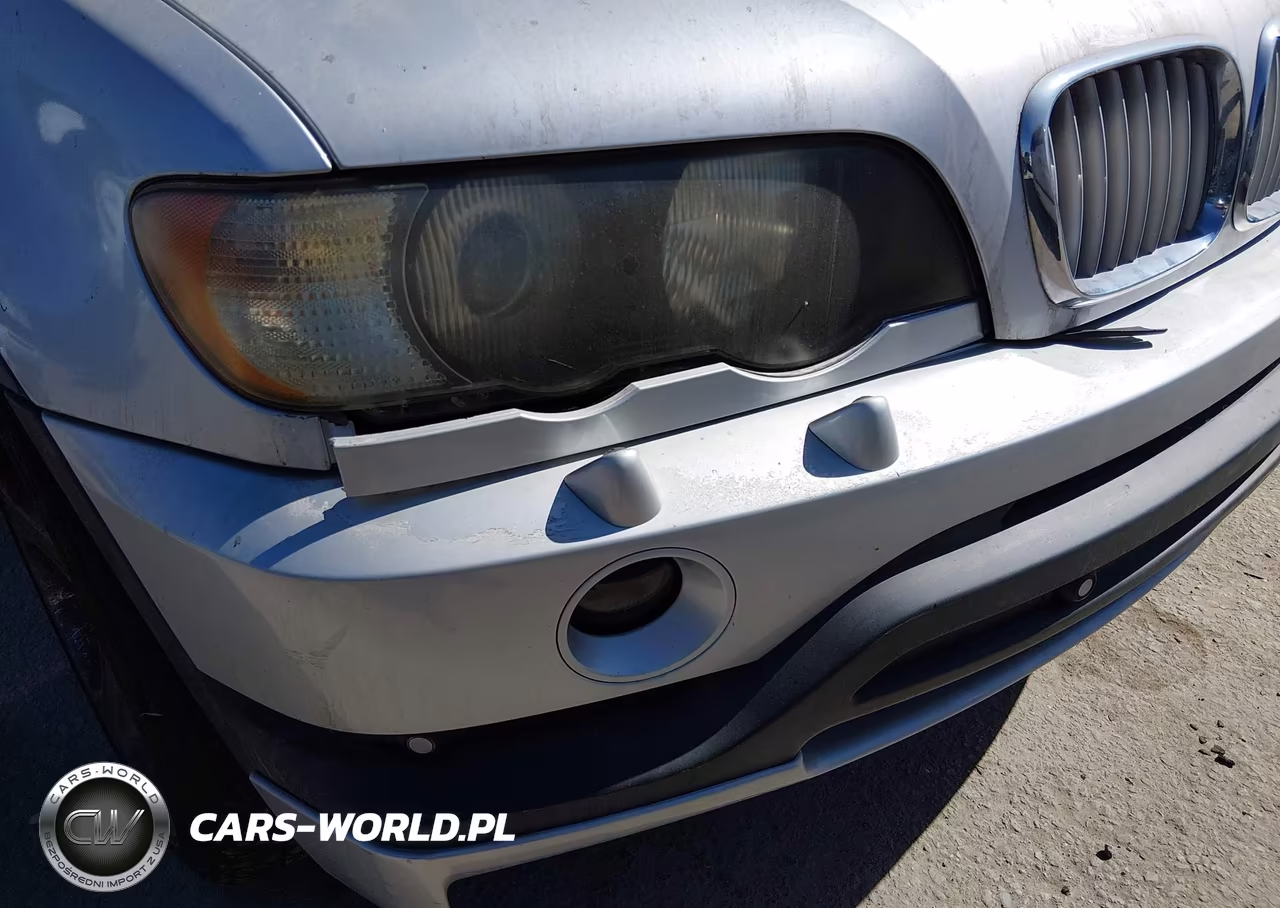 2002 BMW X5 4.6Is VIN:5UXFB93532LN78917 - 12