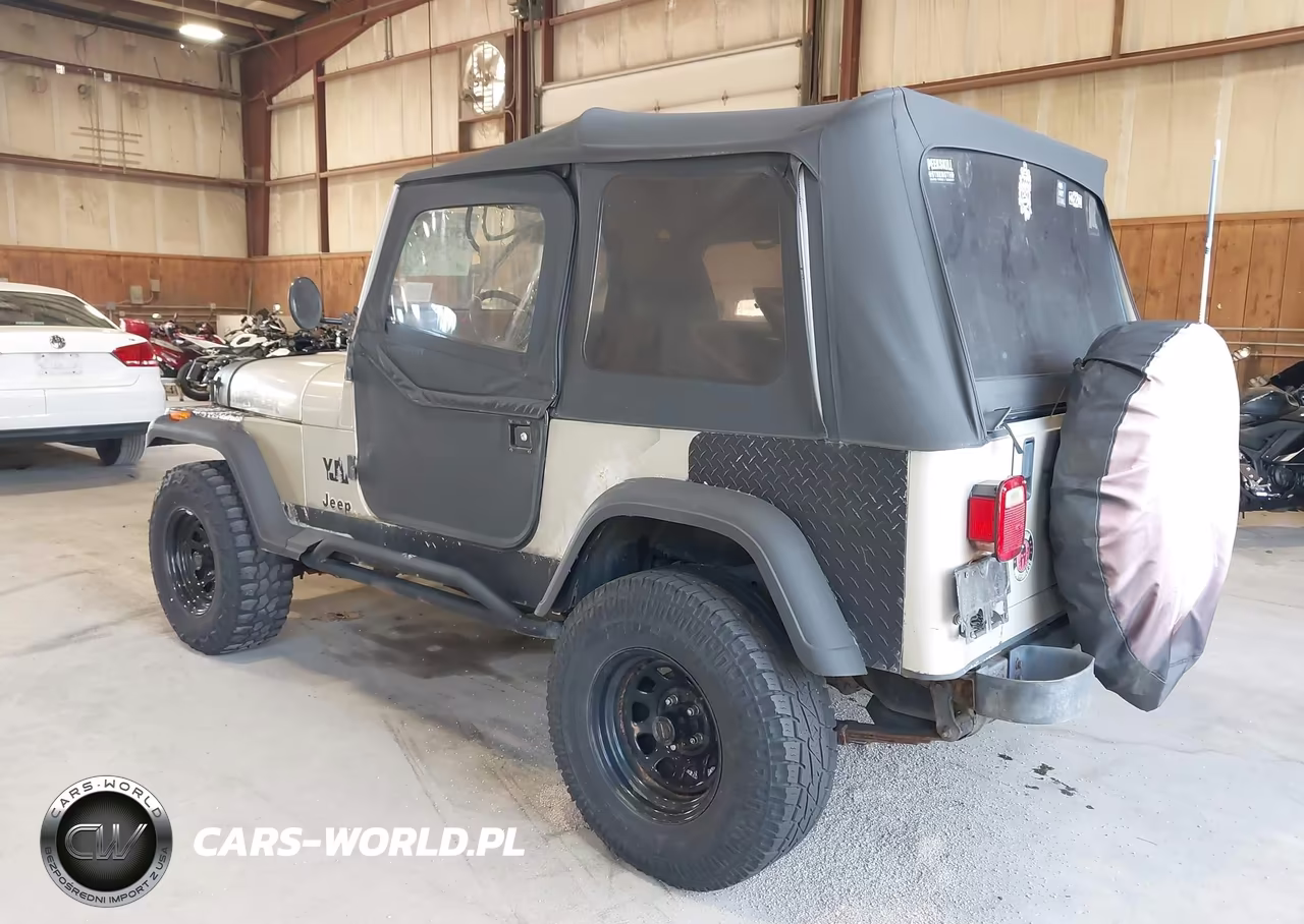 1995 Jeep Wrangler - Yj S-Rio Grande VIN:1J4FY19P6SP307850 - 3