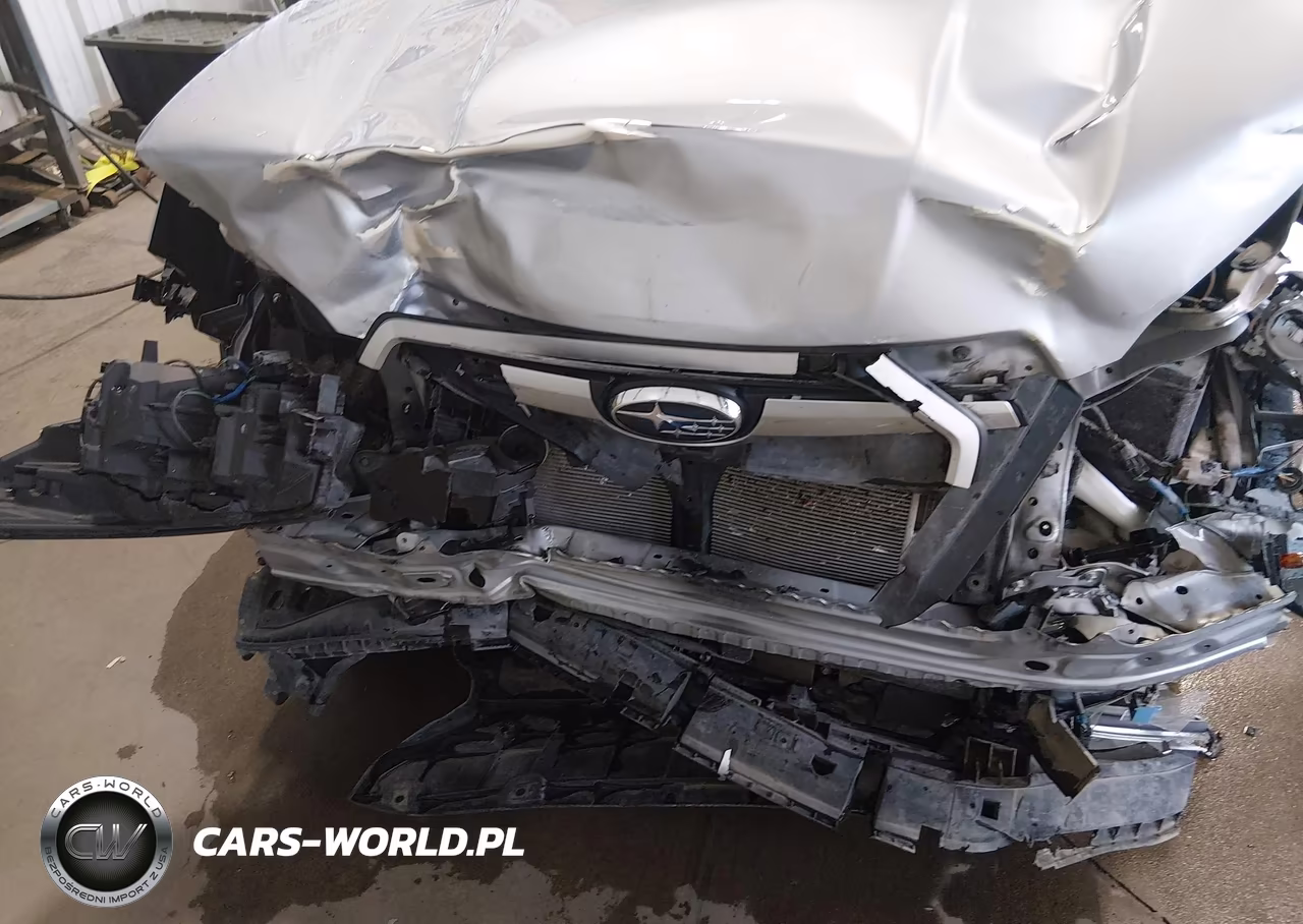 2019 Subaru Forester Premium VIN:JF2SKAGC3KH575496 - 17