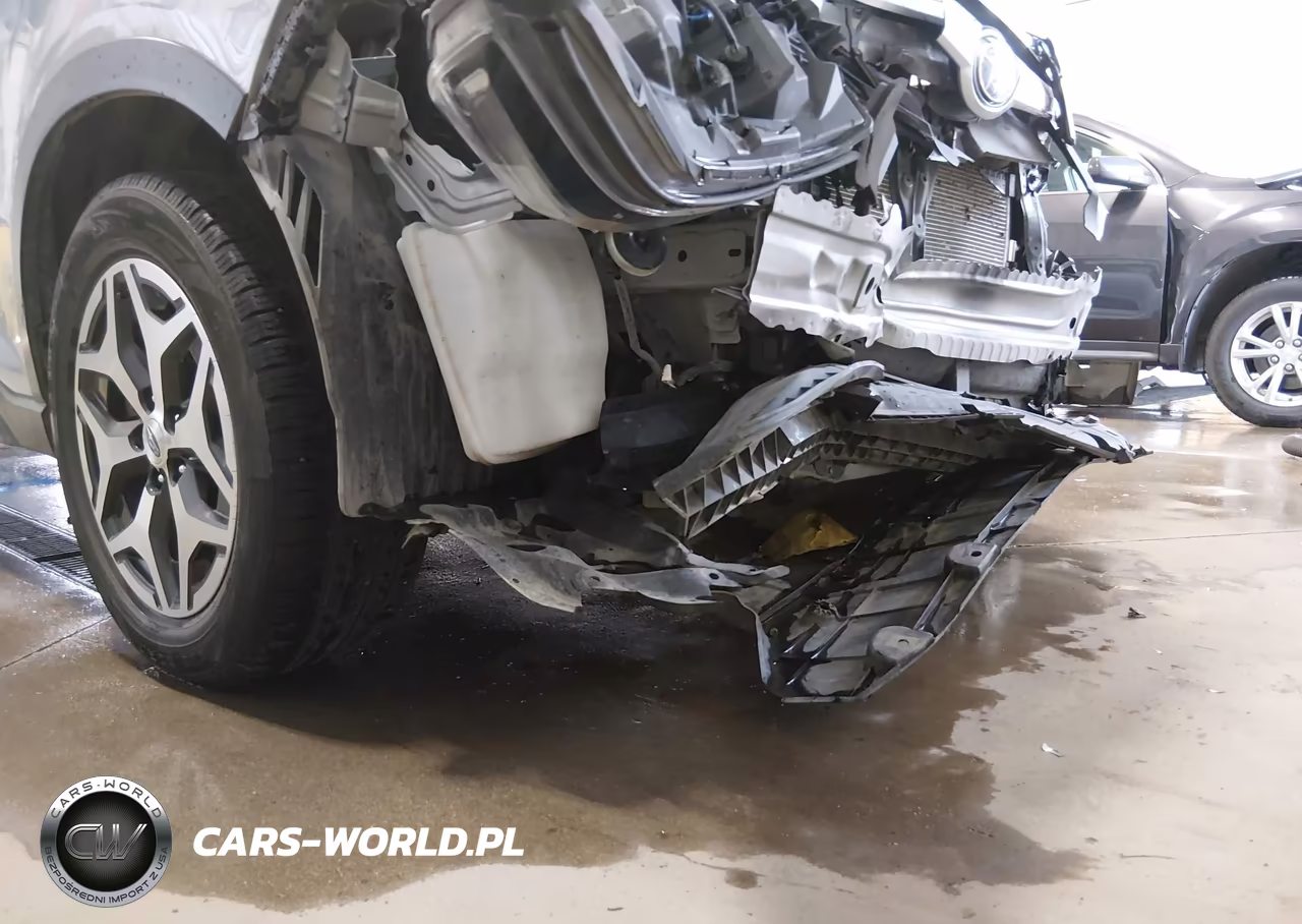 2019 Subaru Forester Premium VIN:JF2SKAGC3KH575496 - 19