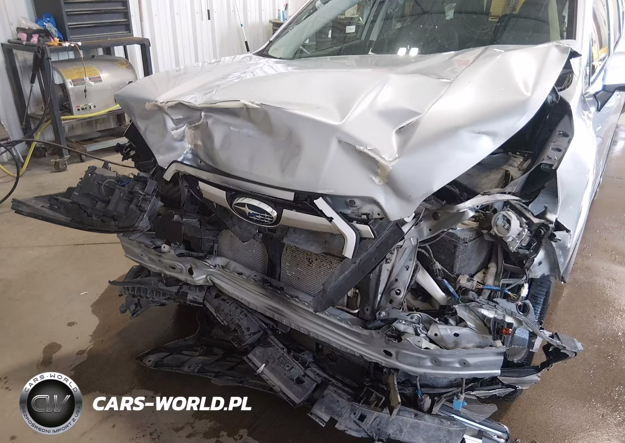 2019 Subaru Forester Premium VIN:JF2SKAGC3KH575496 - 6