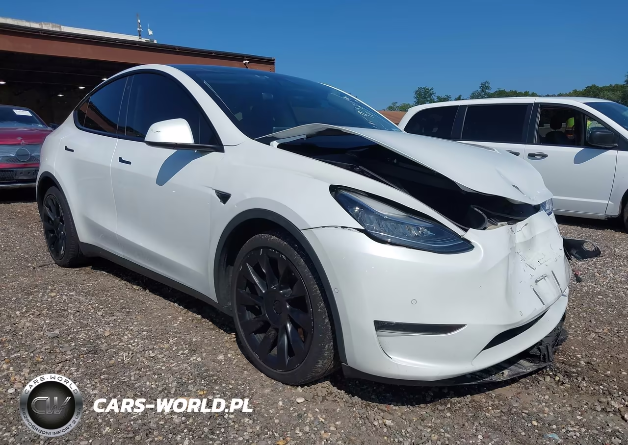 2020 Tesla Model Y Long Range Dual Motor All-Wheel Drive-Performance Dual Motor All-Wheel Drive