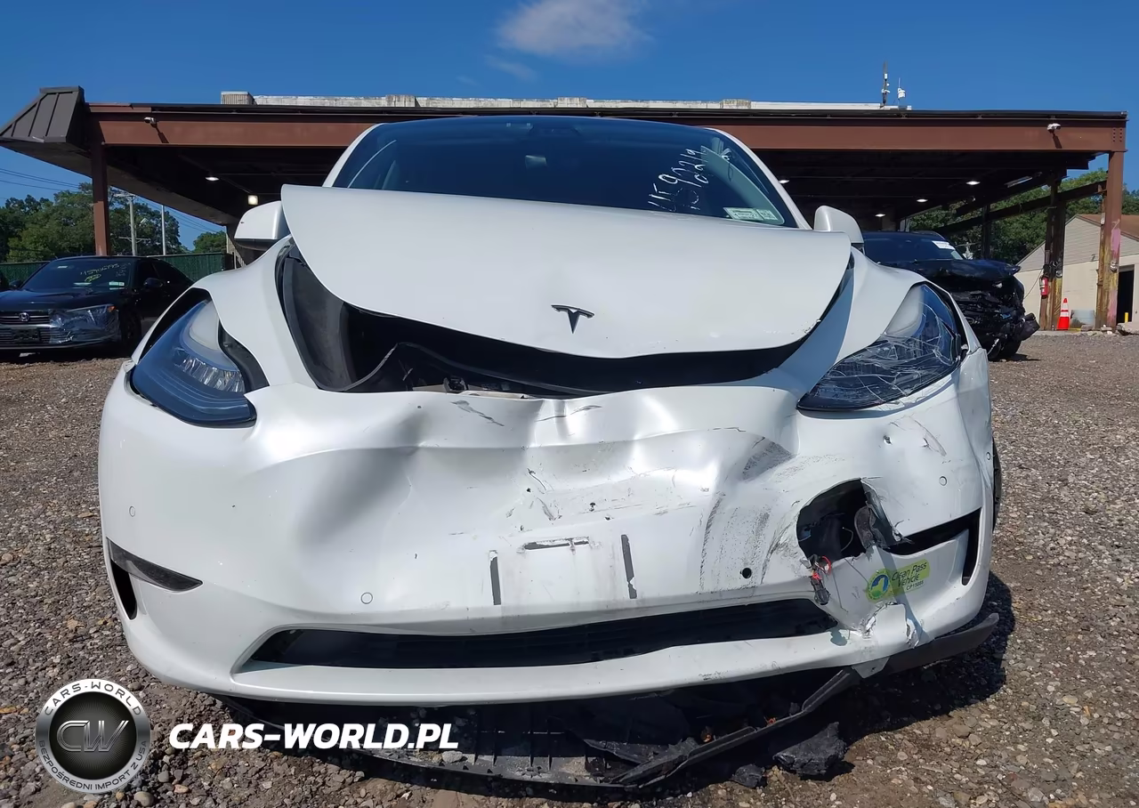2020 Tesla Model Y Long Range Dual Motor All-Wheel Drive-Performance Dual Motor All-Wheel Drive VIN:5YJYGDEF4LF002746 - 11